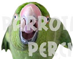 Parrot Behaviour Level I
