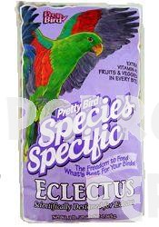 Pretty Bird Eclectus Medium