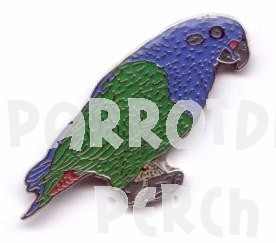 Blue Headed Pionus Pin