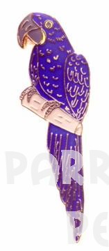 Hyacinth Macaw Pin