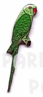 Green Ringneck Pin