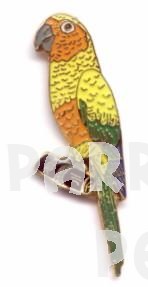 Sun Conure Pin