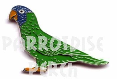 Blue Headed Conure Pin