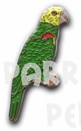 Double Yellow-Head Amazon Pin