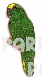 Yellow Fronted Amazon Pin