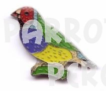 Gouldian Finch Pin