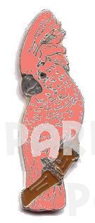 Moluccan Cockatoo Pin