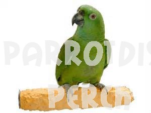 Cuttlebone & Calcium Perch Medium