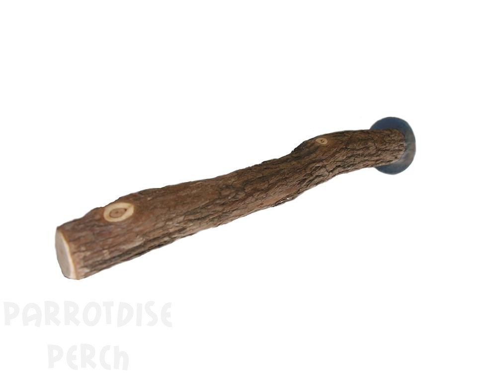 Dragonwood Perch Extra Small