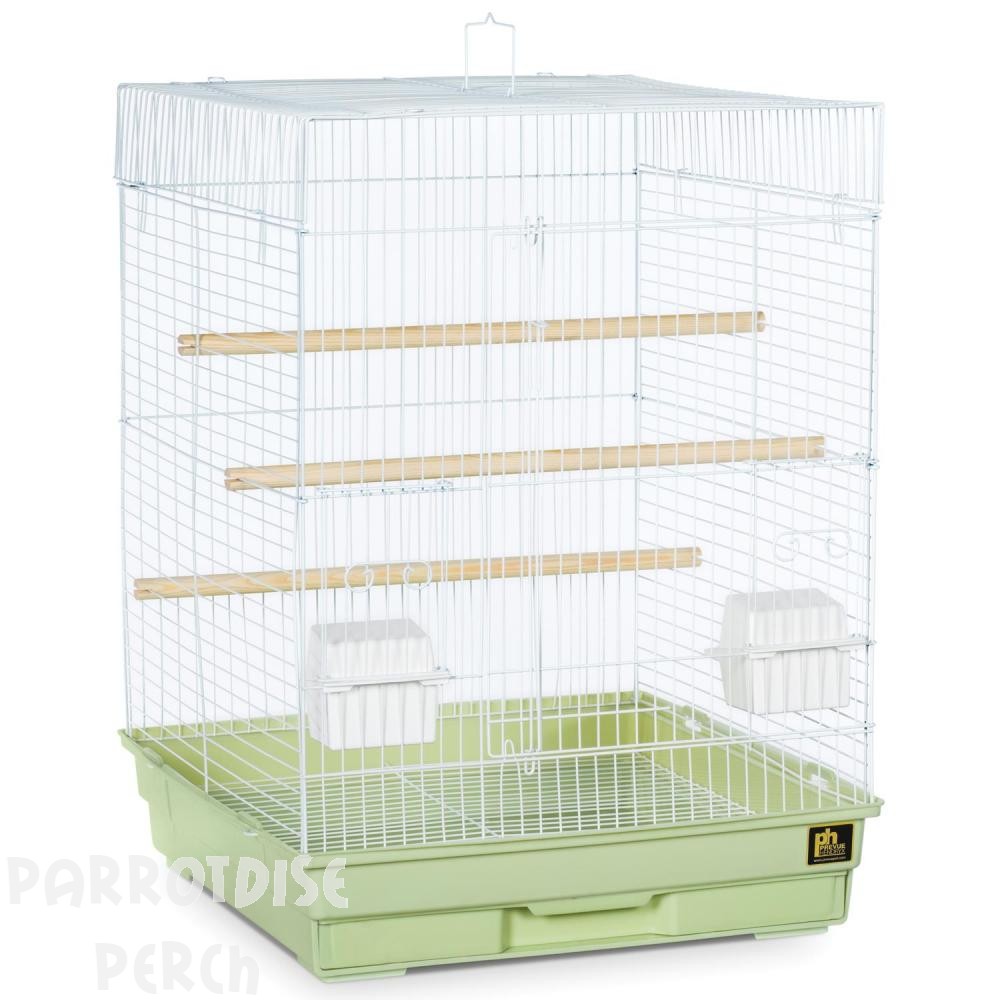Small Parrot Cage 