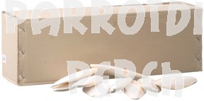 Cuttlebone - Medium