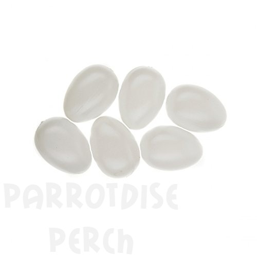 Dummy Eggs (6)
