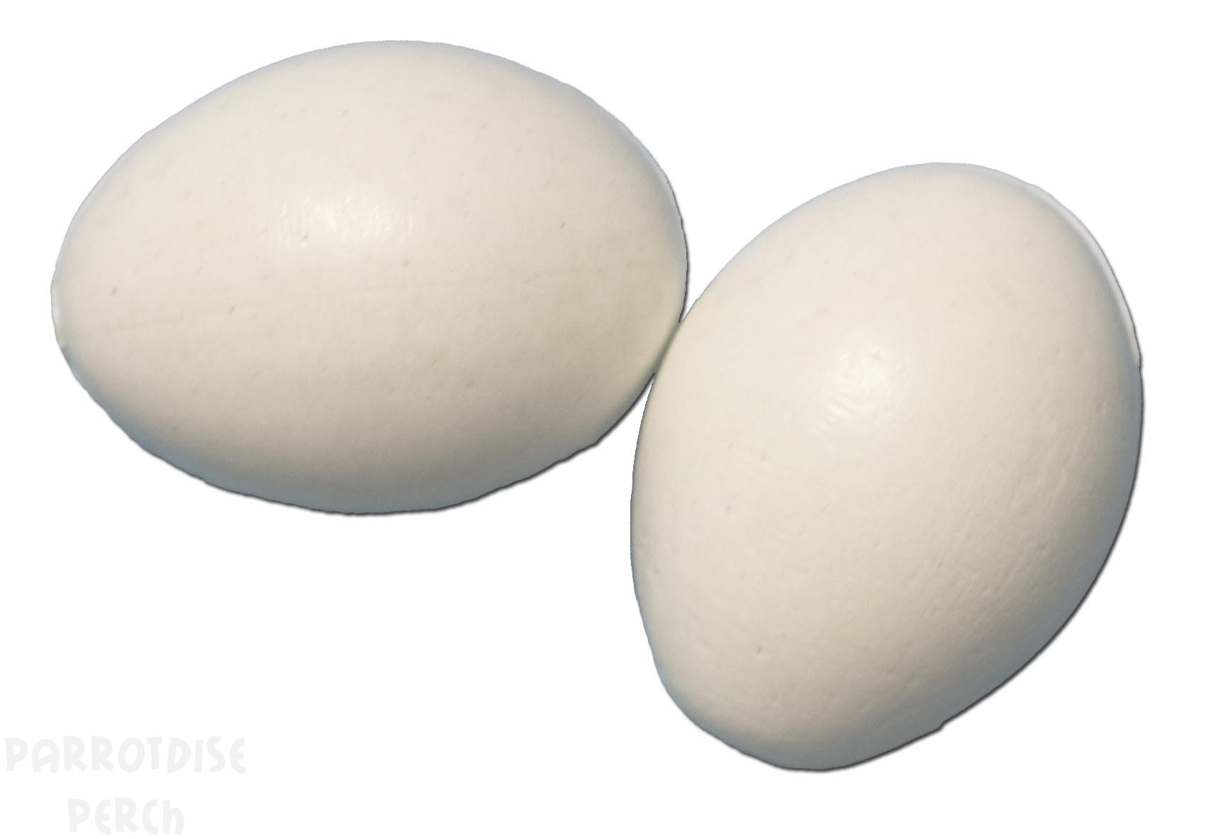 Dummy Eggs (2)
