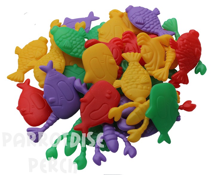 Coral Reef Critters