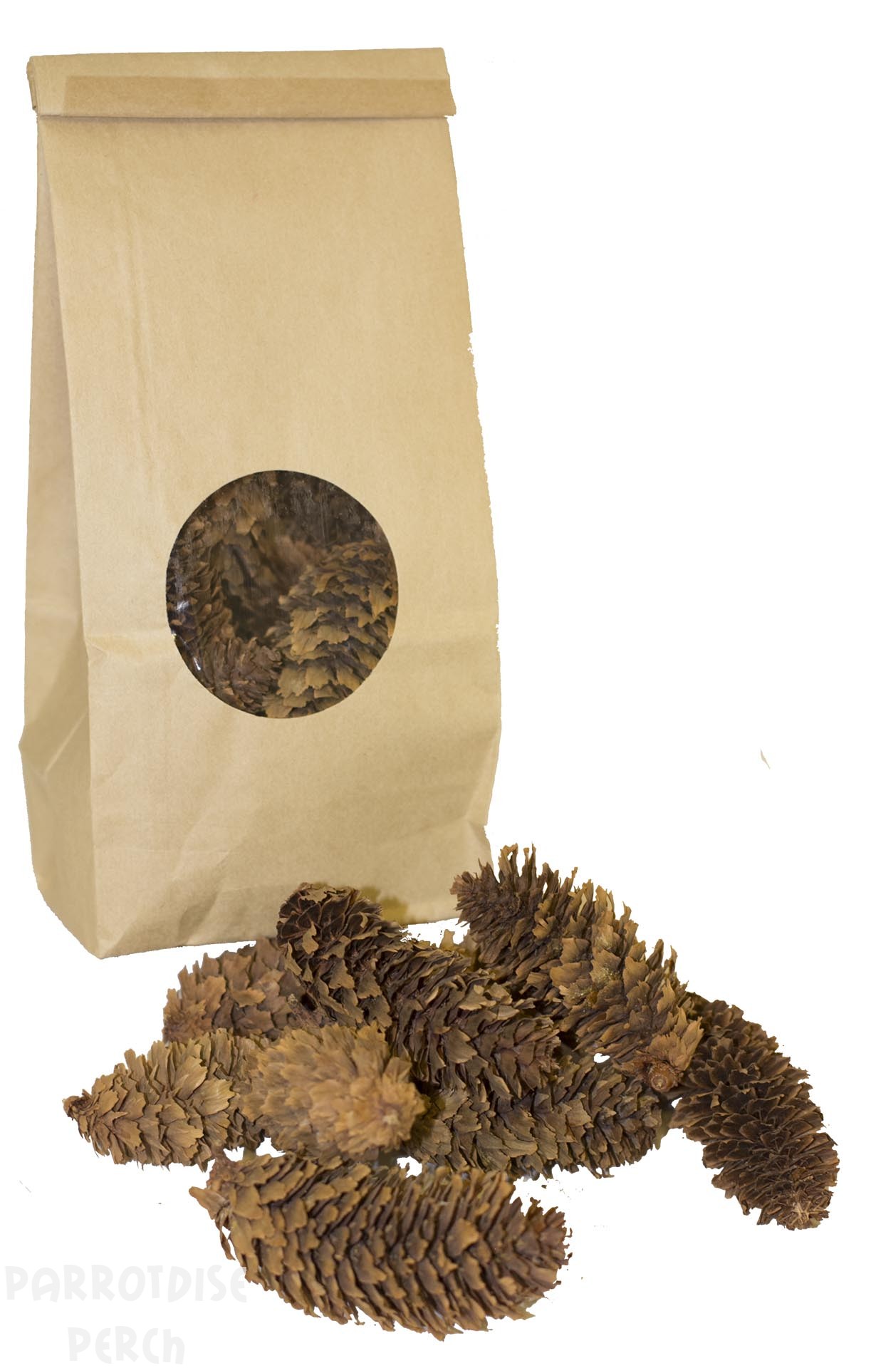 Small Pine Cones