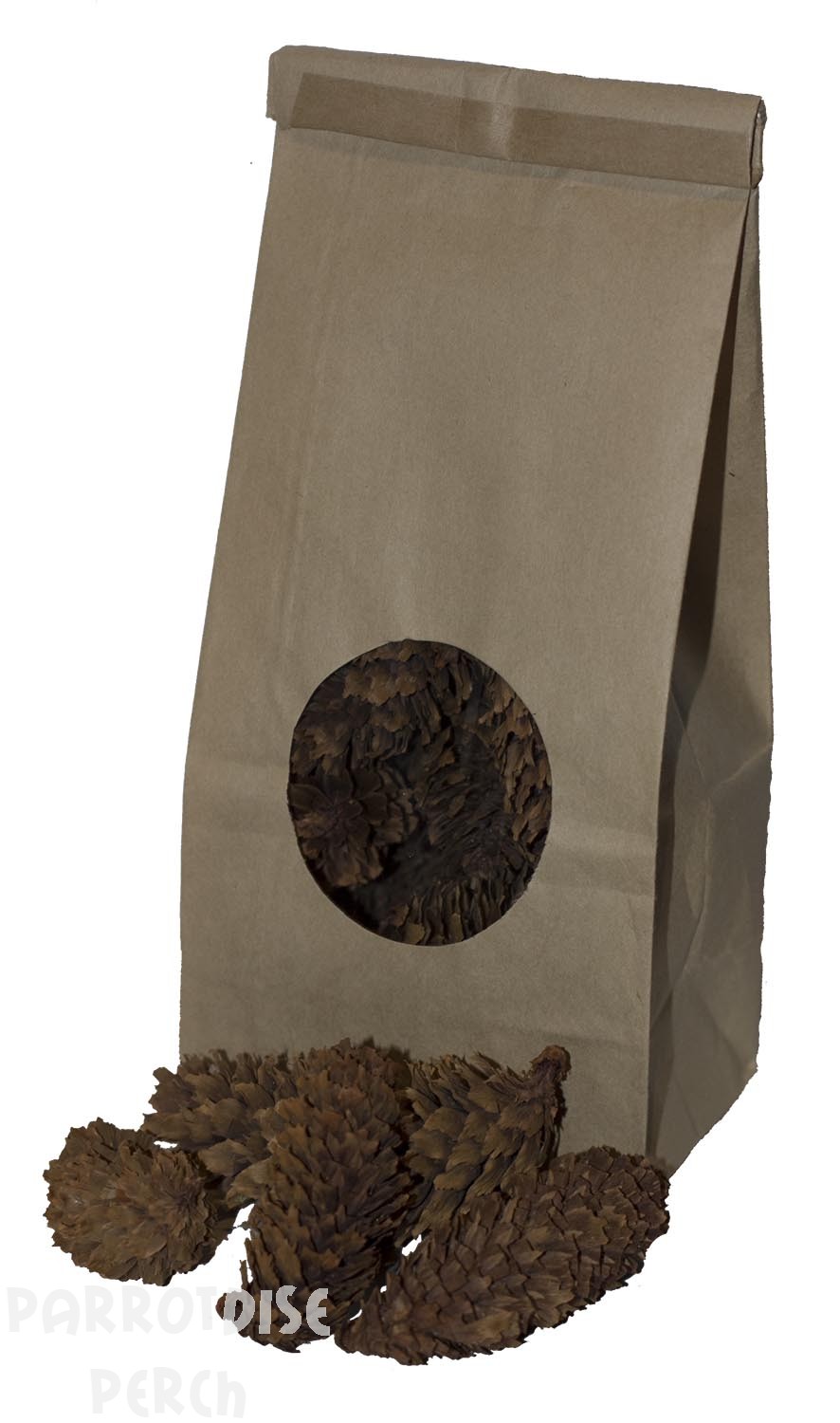Small Pine Cones (72)