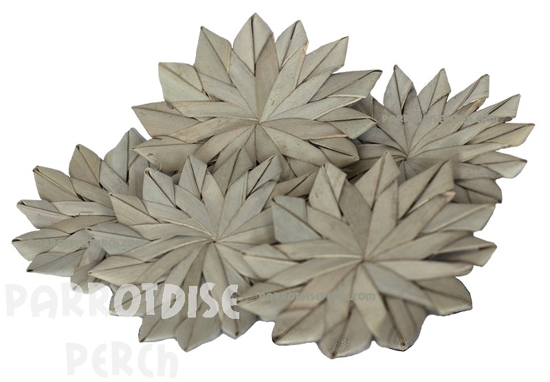 Palm Starburst