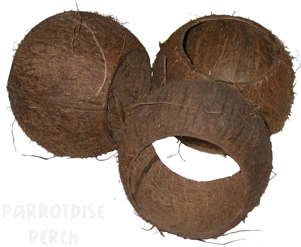 Coconut Bird House