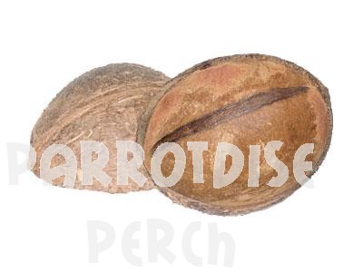 Coconut Half w/ Fibre