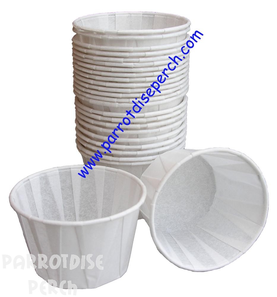 Paper Foraging Cups
