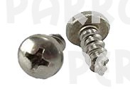 Stainless Steel Screws (2)