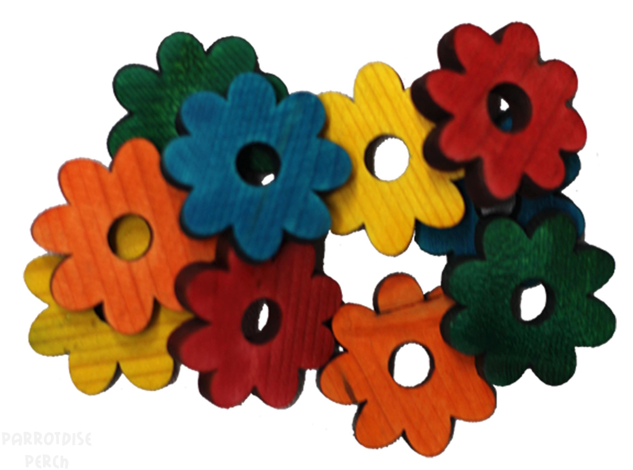 Pine Daisies Coloured