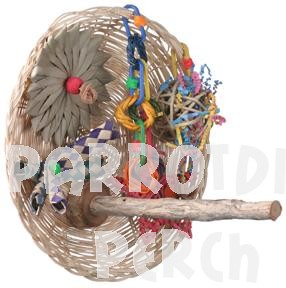 Busy Birdie Play Perch