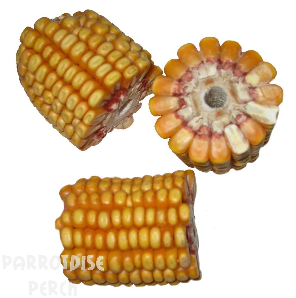 Dried Corn (drilled & undrilled)