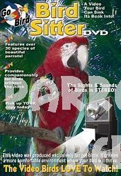 Bird Sitter DVD