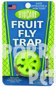 Kitchen Fruit Fly Trap
