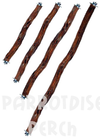 Dragonwood Double Bolt Perch