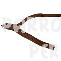 Dragonwood Y Branch 10" - 12"