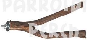 Dragonwood Y Branch 15" - 18"