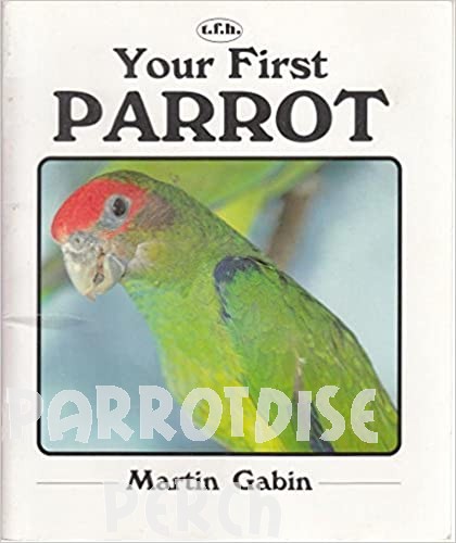 Your First Parrot