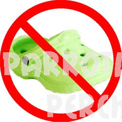 Importance of Toys and Toy Safety