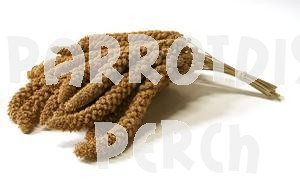 Millet