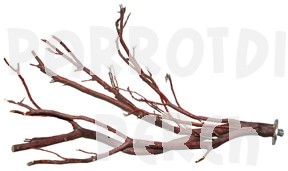 Manzanita Branch 16"