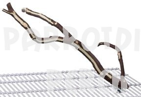 Manzanita Playtree Small