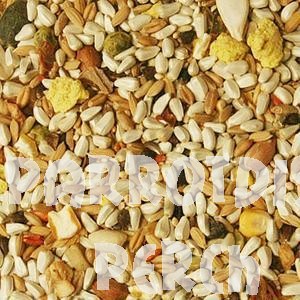 Volkman Seed Hookbill