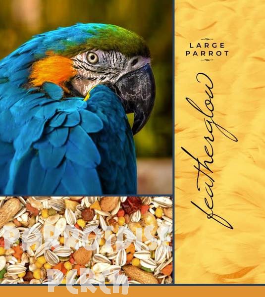 Volkman Large Parrot