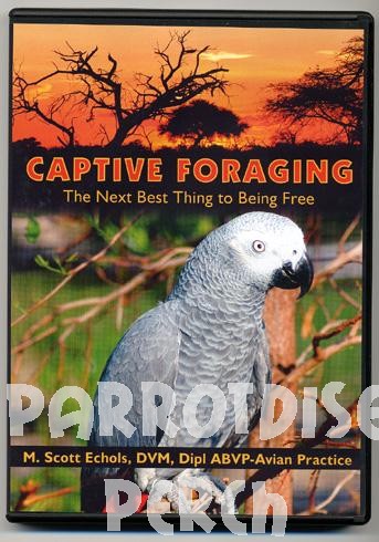 Captive Foraging DVD