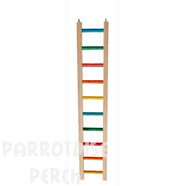 Coloured Ladder 24"