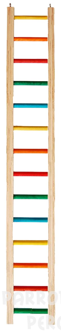 Coloured Ladder 36"