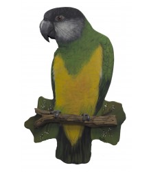 Hand Painted Senegal Wall Plaque