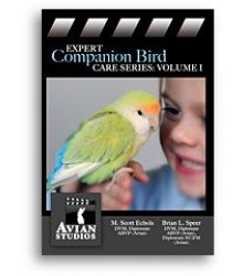 Expert Companion Bird Care Volume 1