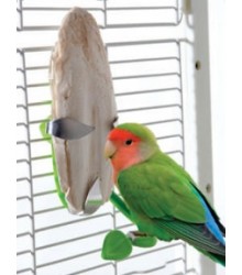 Jungle Cuttlebone Holder