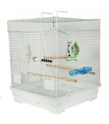 Basic Cage Small
