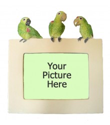 Amazon Parrot Picture Frame