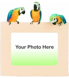 Macaw Picture Frame