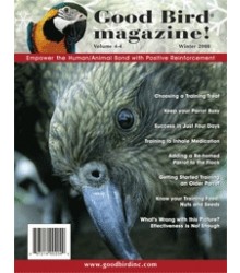Good Bird Magazine Winter 2008